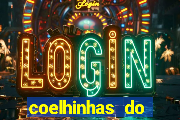 coelhinhas do brasil acompanhantes